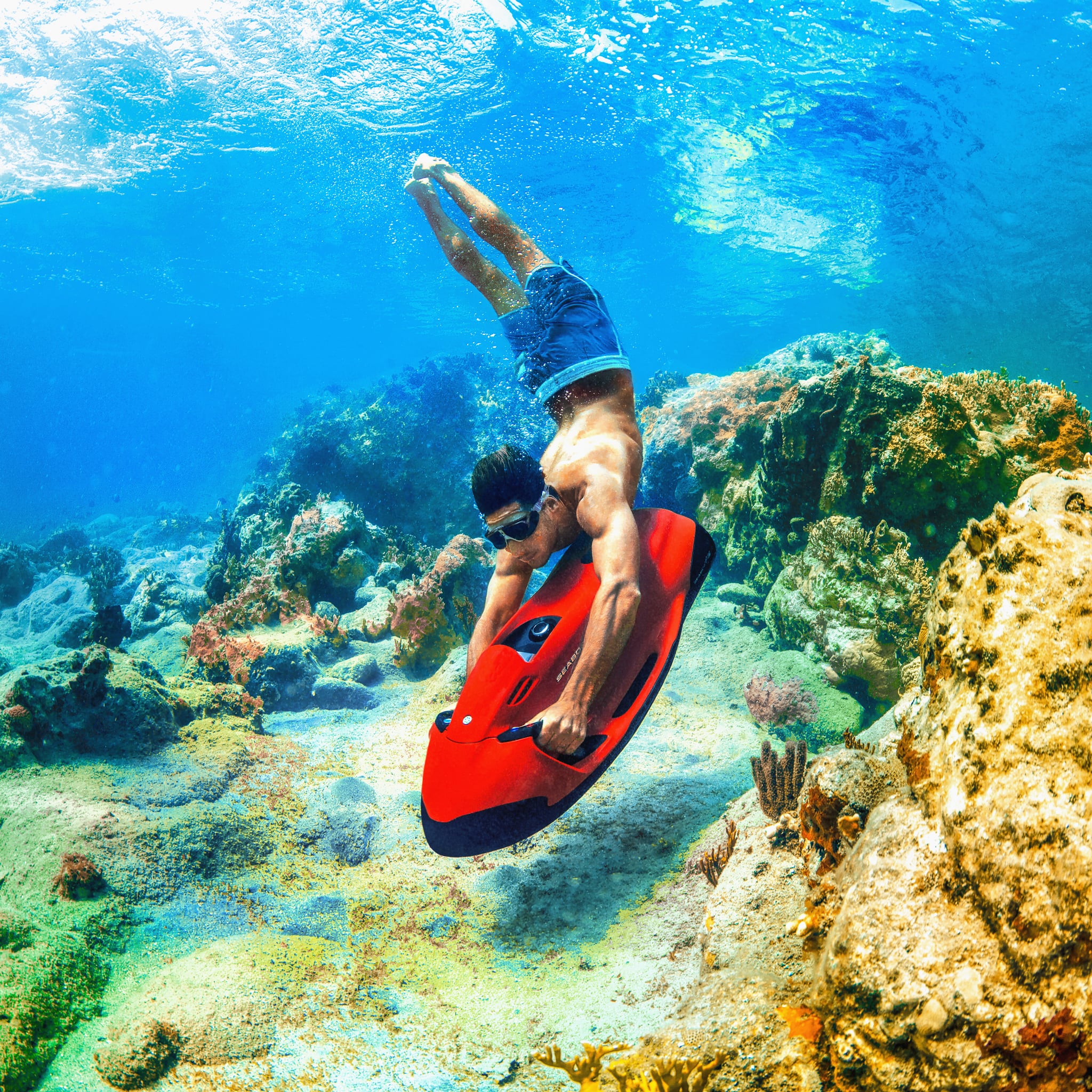 Dive In